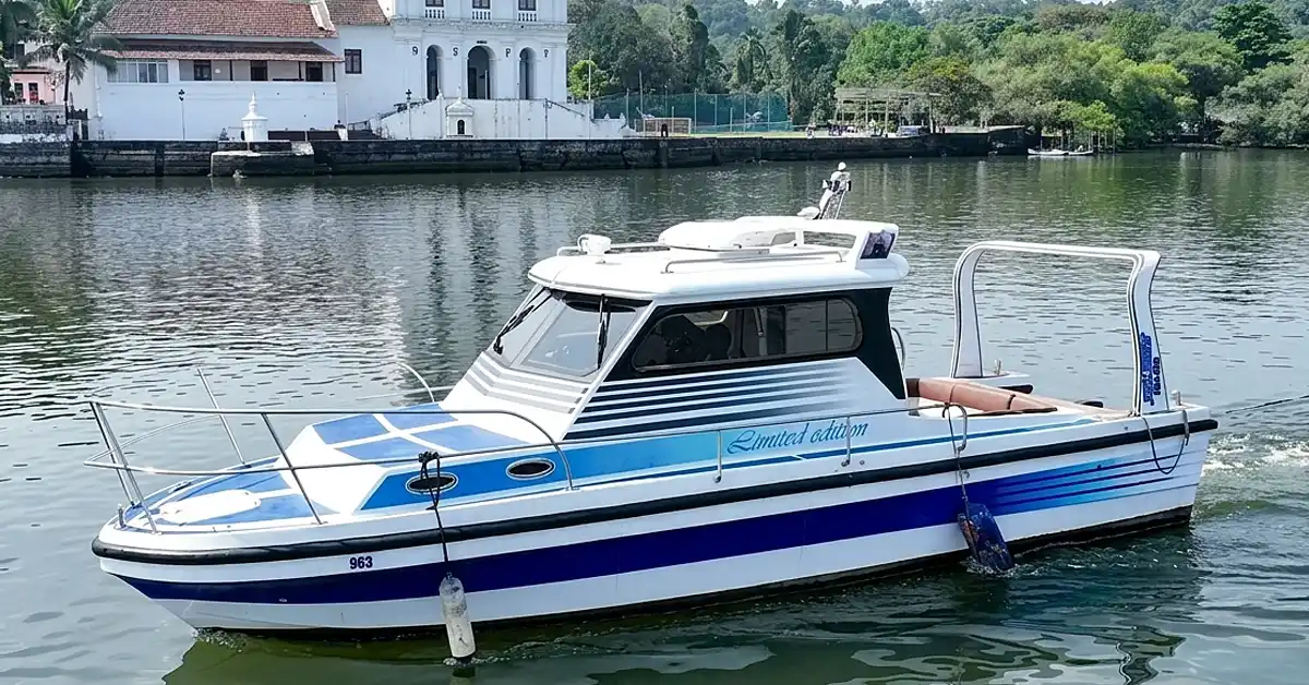 Blue Fin Solaris