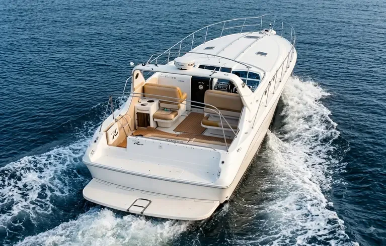 Britona Sea Ray private yacht in Goa